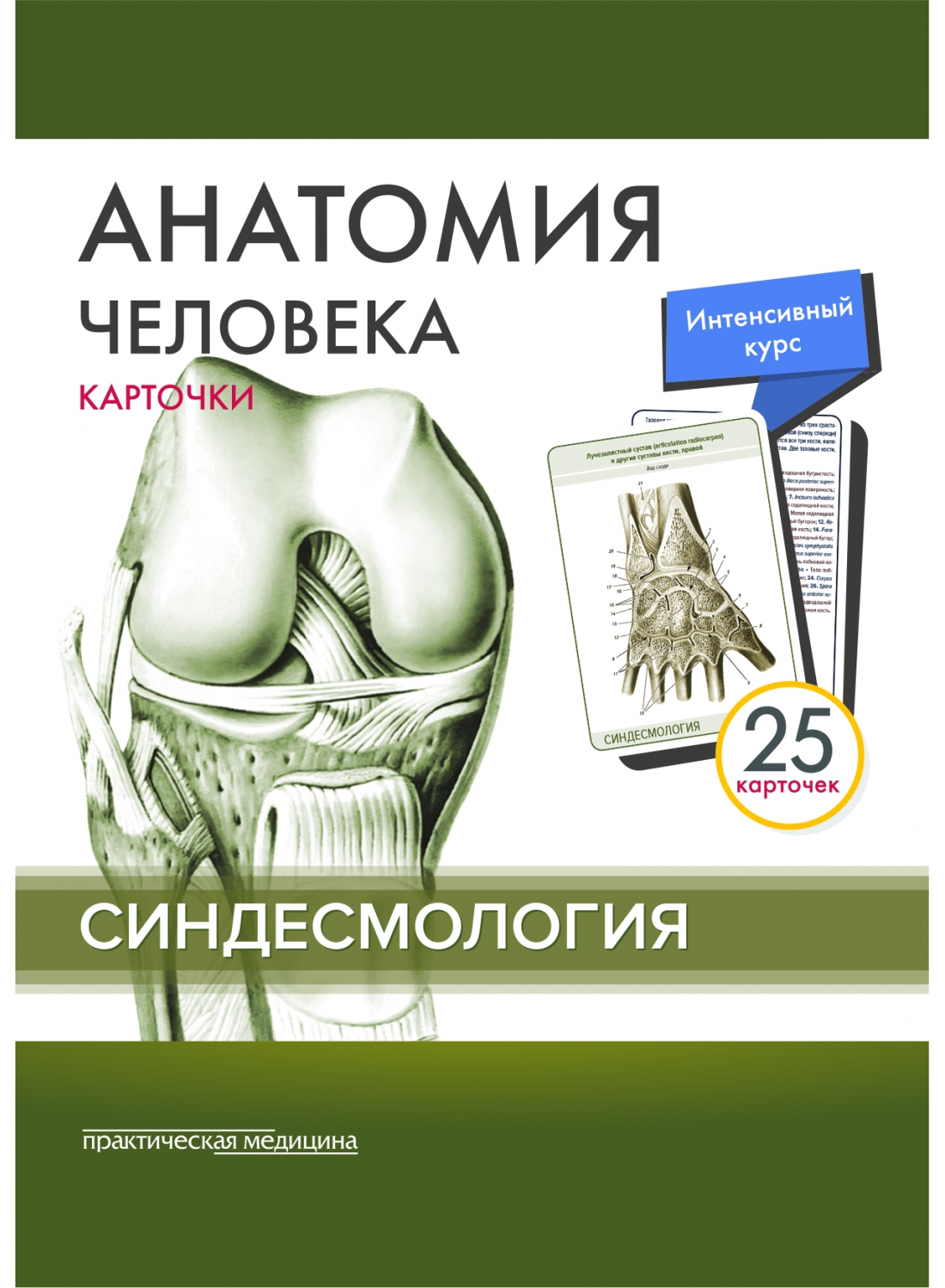 sindesm_obl-1100x1500