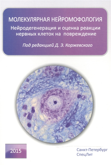 2496535_detail