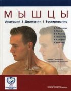 Мышцы. Анатомия.Движения. Тестирование