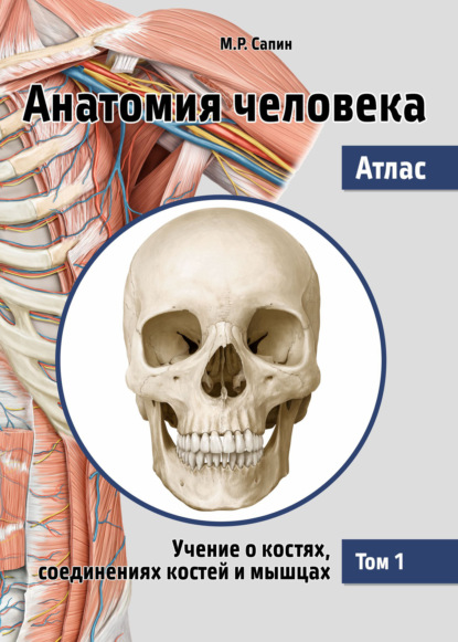 55287771-mihail-sapin-anatomiya-cheloveka-atlas-tom-1-uchenie-o-kostyah-so-55287771
