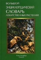 Большой энциклопедический словарь лекарственных растений