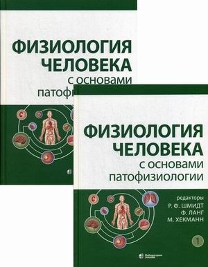 2811461_detail