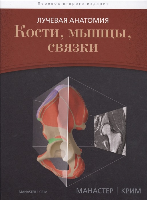 8681