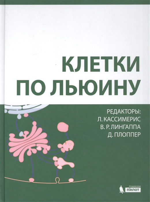 2536369_detail