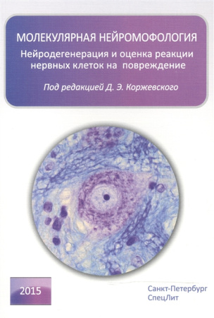 2496535_detail