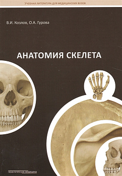 Анатомия скелета