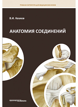 Анатомия соединений