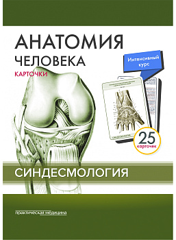 Анатомия человека: КАРТОЧКИ (25шт). Синдесмология. Русские и латинские названия анатомических структ