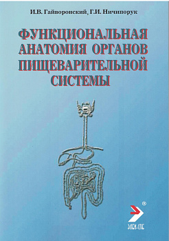 Функциональная анатомия органов пищеварительной системы