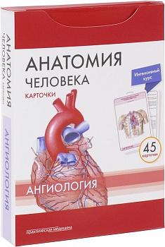 Анатомия человека: КАРТОЧКИ (45шт). Ангиология. Русские и латинские названия анатомических структур