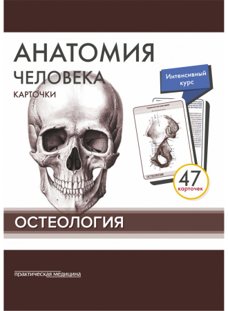 osteolog_obl-1100x1500