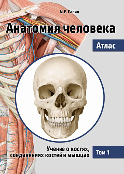Анатомия человека. Атлас. Том I. Учение о костях, соединениях костей и мышцах