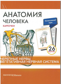 Анатомия человека: КАРТОЧКИ (26 шт). Черепные нервы. Вегетативная нервная система