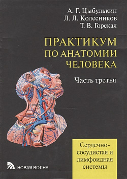 Практикум по анатомии человека ч.3 Сердечно-сосудистая и лимфоидная системы