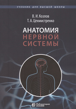 Анатомия нервной системы
